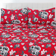 Luvoza Cotton Bed Sheet - King - 3pcs - CSB381