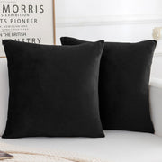 Velvez Soft Velvet Cushion Cover Set - 2pcs -Black - VCC02