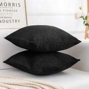 Velvez Soft Velvet Cushion Cover Set - 2pcs -Black - VCC02